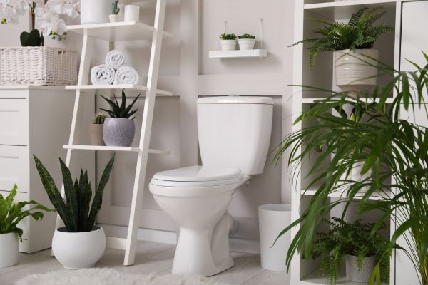 Cost of Toilet Repair in Northville