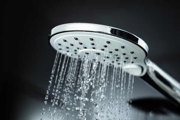 Cost of Shower Head Replacement in Northville
