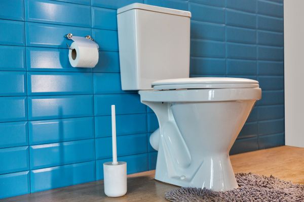 Cost of Toilet Tank Repair in Northville