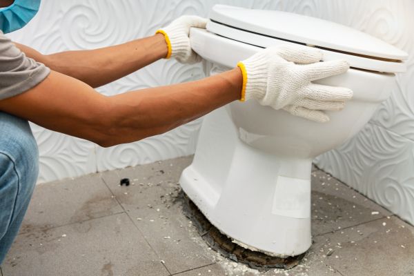 Cost of Toilet Removal in Northville