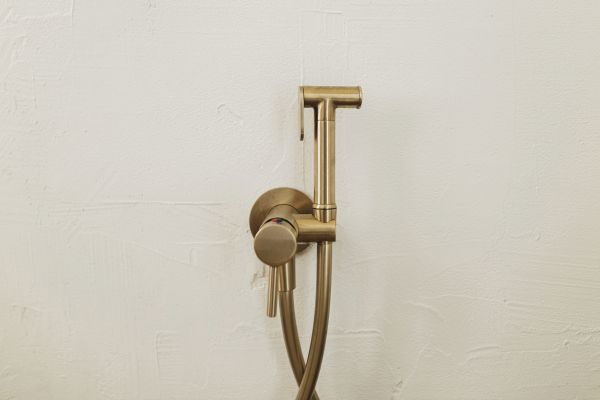 Cost of Bidet Plumbing in Northville