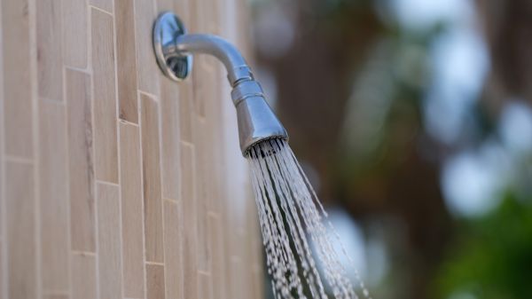 Cost of Showerhead Repair in Northville