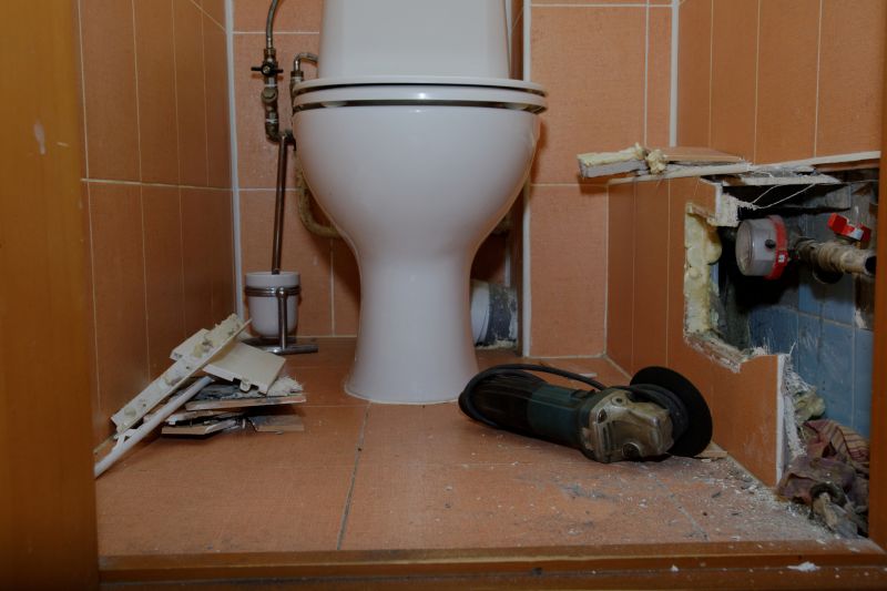 Backed Up Toilet Repair