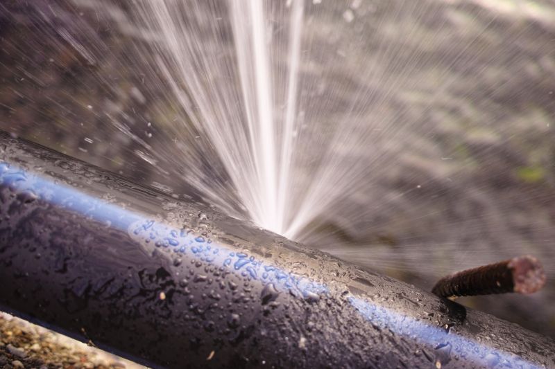 Leak Detection and Repair