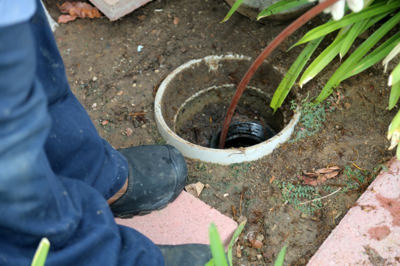 Rooter Service