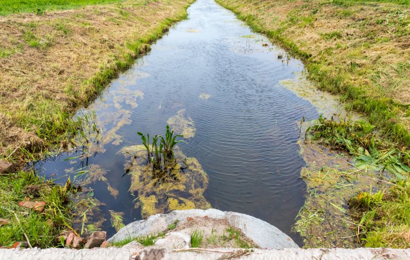 Stormwater Drain Clearing